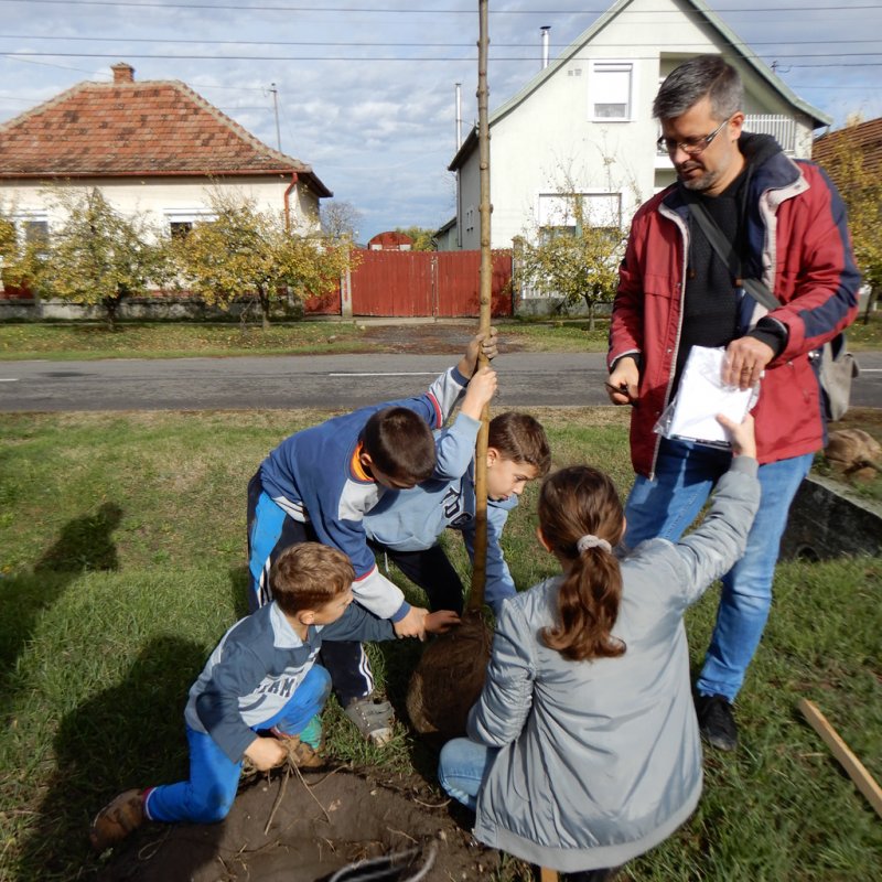 Közösségi faültetés Berettyóújfaluban 42